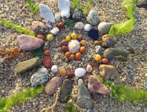 Obsah obrázku skála, rostlina, venku, Oblázek